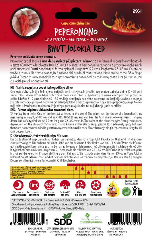 Hot peppers bhut jolokia red