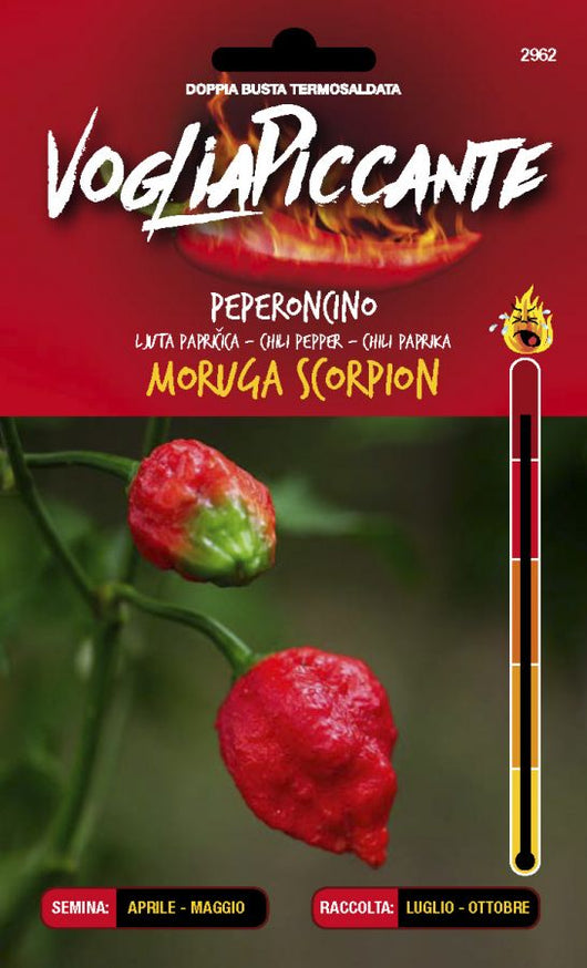 Hot peppers moruga scorpion