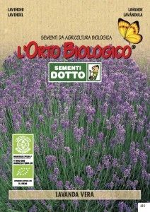 Sementi aromi lavanda