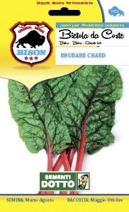 Sementi bietola rhubarb chard