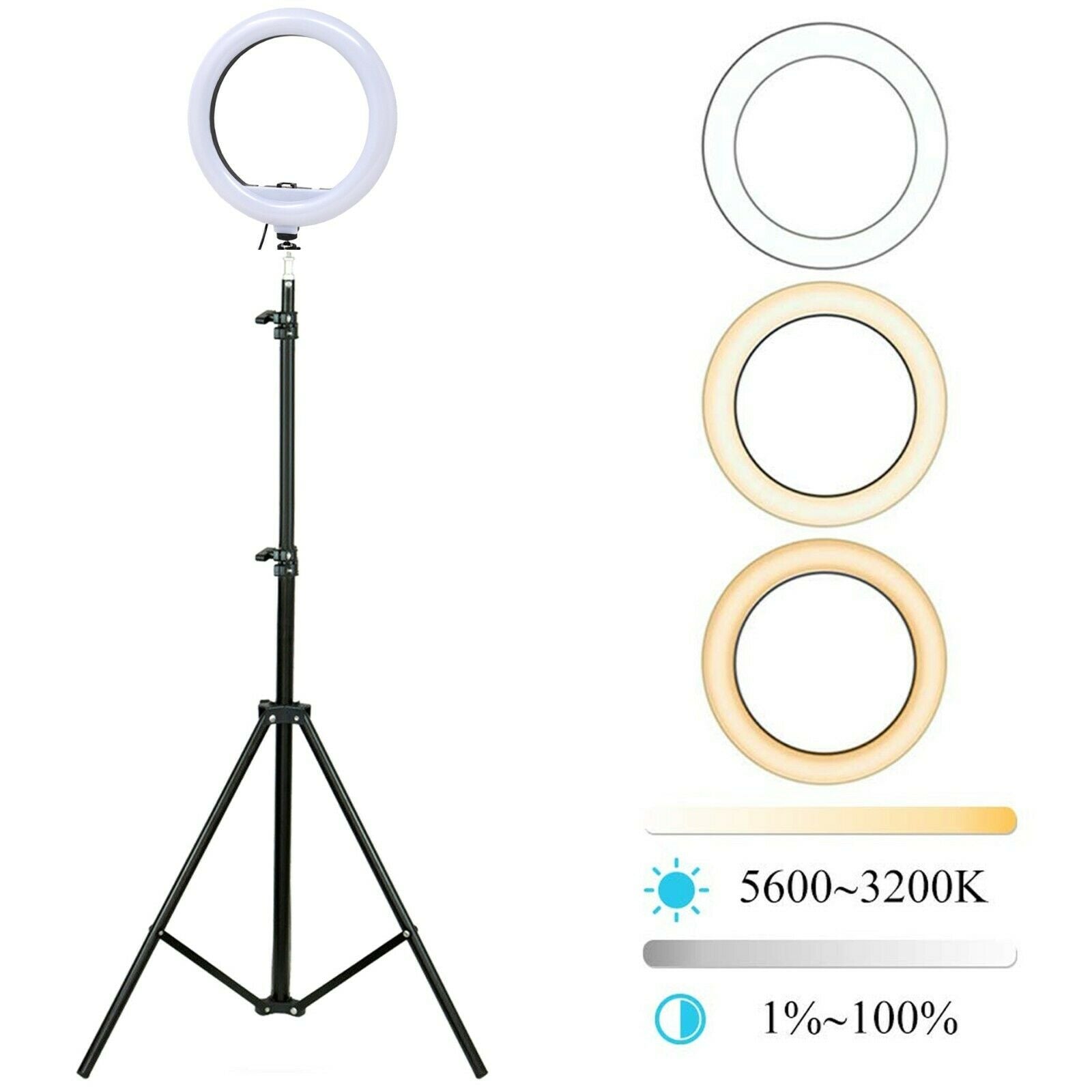 Luce Led ad Anello 30cm per Smartphone RING FILL LIGHT professionale con treppiede 190cm