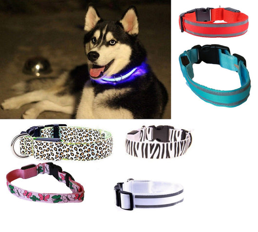 COLLARE PER CANE CANI A LED LUMINOSO TG S/M/L SICUREZZA LED NOTTURNO CLIP FANTASIA Taglia: M