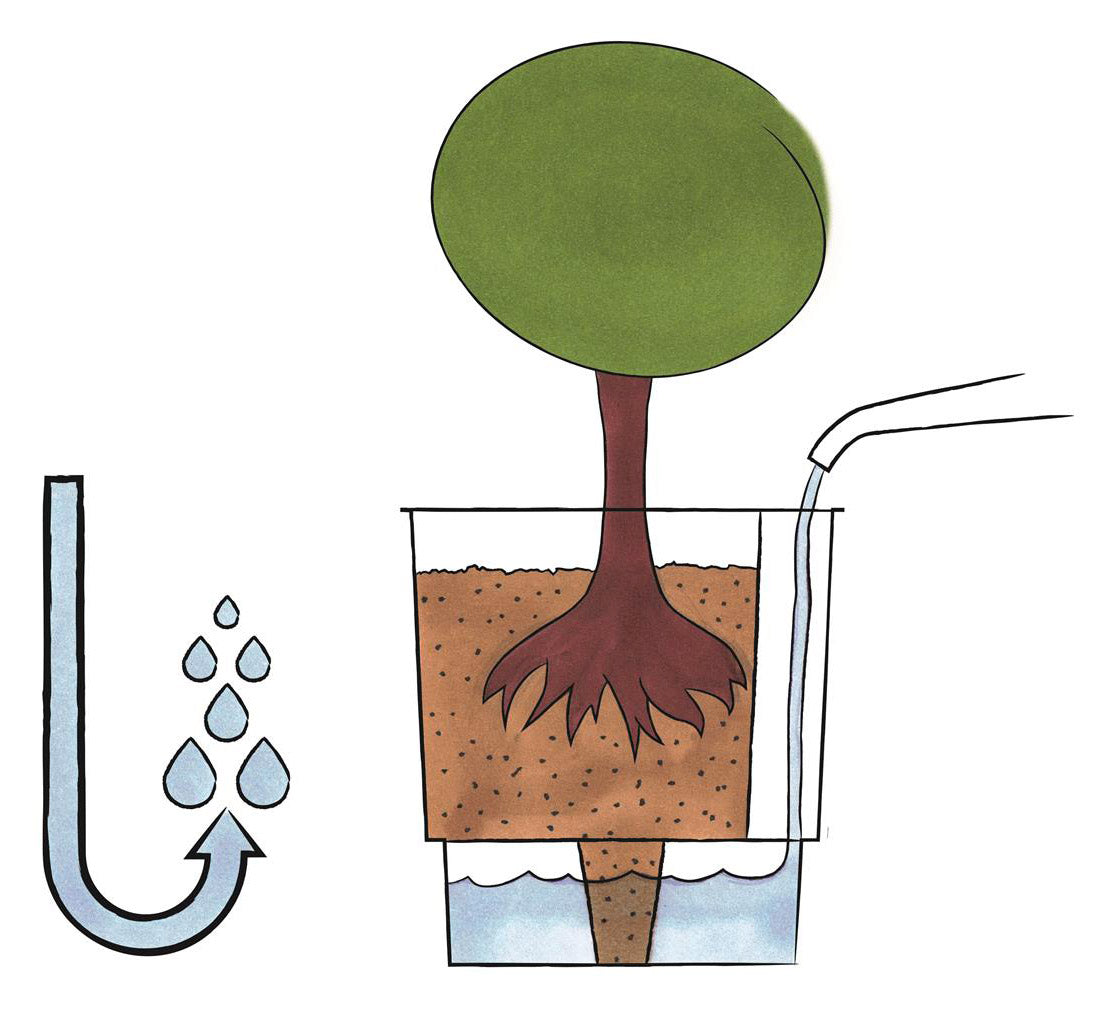 Vaso Ø38x80 cm in Polipropilene con Riserva d'Acqua Tulli Stem Elements 80 Wr Antracite