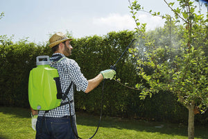 Pompa Irroratrice a Zaino a Batteria da Giardino 8 Litri Rama Futura Verde