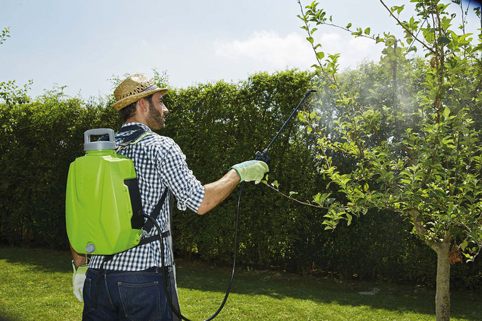 Pompa Irroratrice a Zaino a Batteria da Giardino 8 Litri Rama Futura Verde