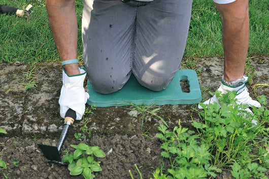 Cuscino da Lavoro per Giardinaggio 18x40x2 cm in EVA Rama Verde