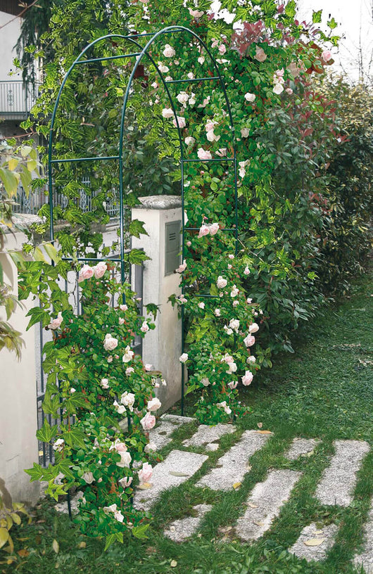 Arco da Giardino in Acciaio 37x130xh240 cm per Rampicanti Rama Verde