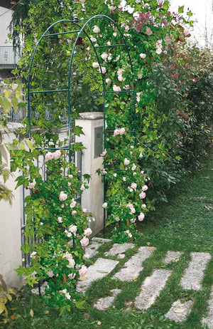 Arco da Giardino in Acciaio 37x130xh240 cm per Rampicanti Rama Verde