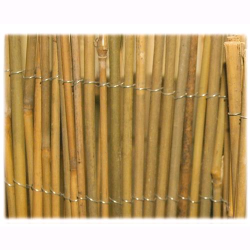 Tenda Arella Mister In Canna Di Bamboo Pulita Dimensione 100X300Cm