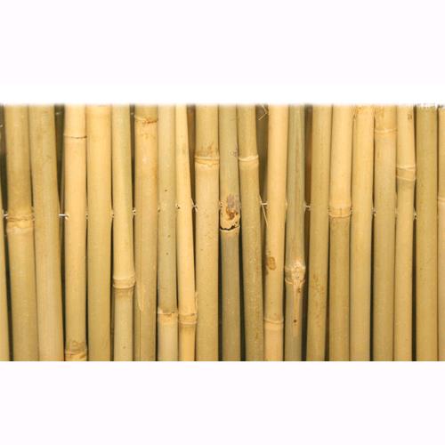 Tenda Arella Master In Canna Di Bamboo Pulita Dimensione 100X300Cm