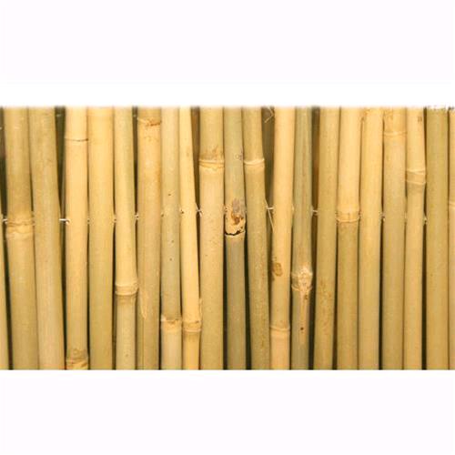 Tenda Arella Master In Canna Di Bamboo Pulita Dimensione 150X300Cm