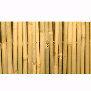 Tenda Arella Master In Canna Di Bamboo Pulita Dimensione 200X300Cm