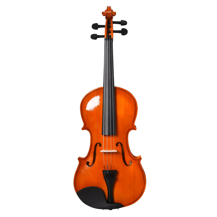 Violino 4/4 per Adulti con Custodia e Accessori