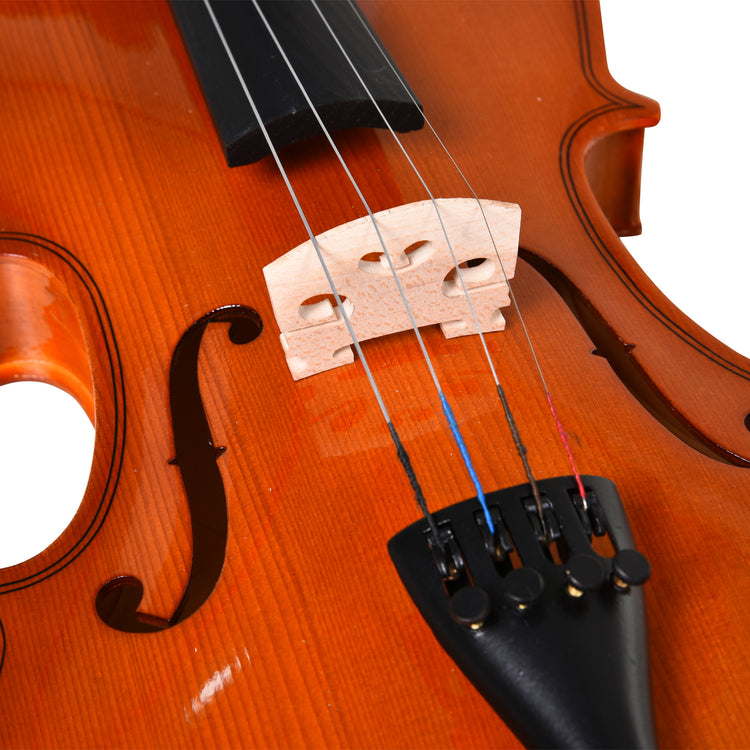 Violino 4/4 per Adulti con Custodia e Accessori