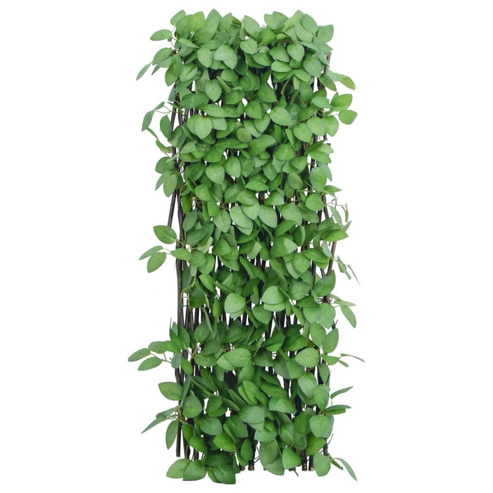 vidaXL Traliccio Edera Artificiale Espandibile Verde 180x65 cm