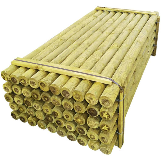 vidaXL Pali Appuntiti Recinzione 50 pz Legno Impregnato 10x240 cm