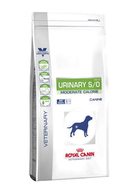 Royal Canin C-111647 Modo urinario Dieta UCM20-6,5 kg