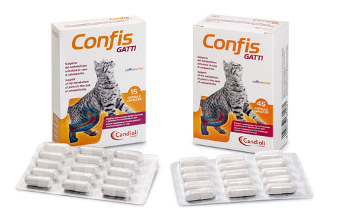 Confis Gatti 15 CPS 500 MG