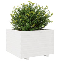 vidaXL Fioriera da Giardino Bianca 70x70x49,5cm Legno Massello di Pino