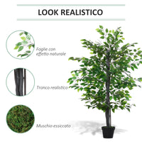 Pianta Artificiale Albero Baniano H145 cm con Vaso Verde