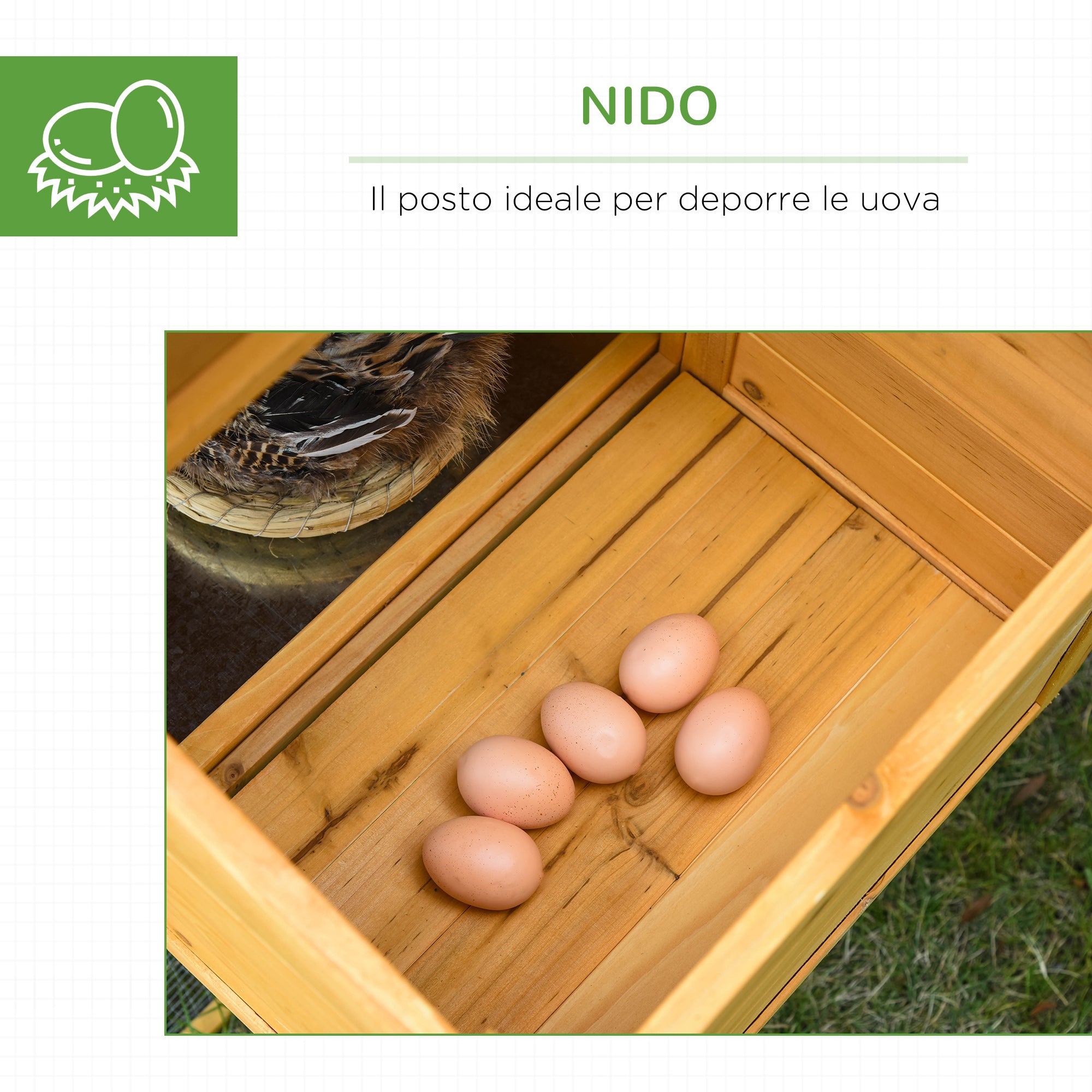 Pollaio Gabbia per Galline 168x75x103 cm con Area Aperta