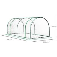 Serra da Giardino a Tunnel 200x100x80 cm In Acciaio e PVC Trasparente e Verde