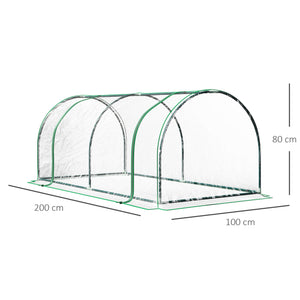 Serra da Giardino a Tunnel 200x100x80 cm In Acciaio e PVC Trasparente e Verde