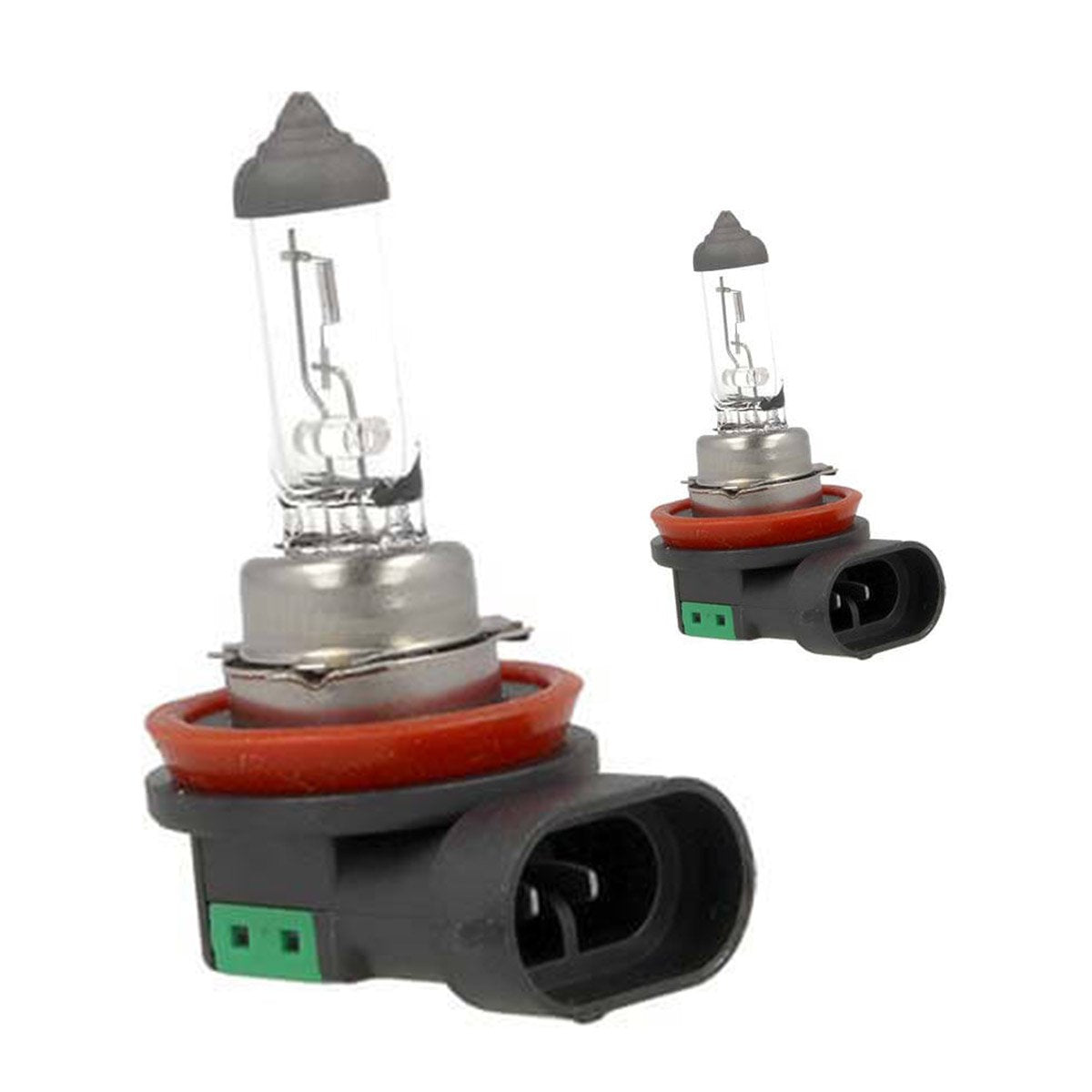 2 PZ Lampada Alogena Auto H11 12V 55W PGJ19-2 Trasparente Marca Carall