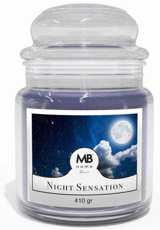 Candela Profumata 410 gr in Cera Vegetale Vasetto in Vetro Night Sensation