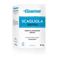 GESSO SCAGLIOLA 1 kg DH