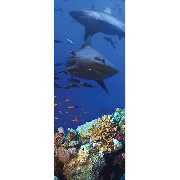 Decorazione per Porta Autoadesiva Facile da Applicare 210x83 cm Door Cover Shark