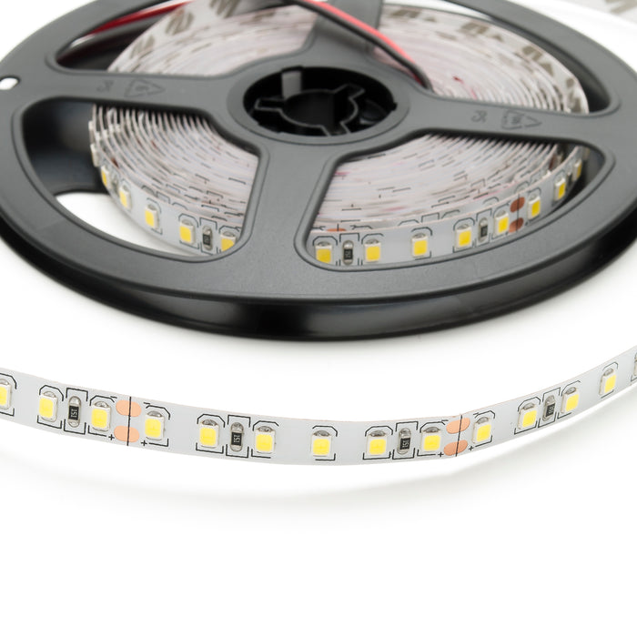 Striscia led 5 metri 12v strip 600 led SMD 2835 IP20 flessibile alta luminosita LUCE 6400K