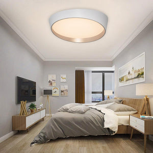 Plafoniera moderna LED 46W resa 360W lampada soffitto tonda ellisse cornice dorata luce camera letto cucina 230V 4000K