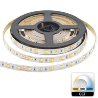 Striscia 980 LED 55W CCT tunable da 3000K a 6500K 24V dimmerabile 5125lm strip adesiva luce interni bobina 5 metri RA>90