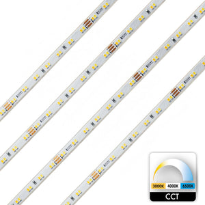 Striscia 980 LED 62W CCT tunable 3000K-6500K 24V impermeabile IP65 dimmerabile 5350lm luce esterni bobina 5 metri RA>90