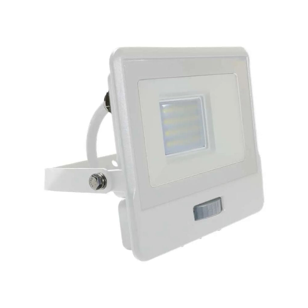 Floodlight LED LED LED LED SIR CHIP SAMSUNG BODY BODY 4000K 1M Cavo