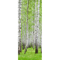 Decorazione per Porta Autoadesiva Facile da Applicare 210x83 cm Door Cover Birches