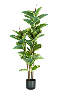 Pianta Artificiale Ficus Elastica H145 cm con Vaso Verde