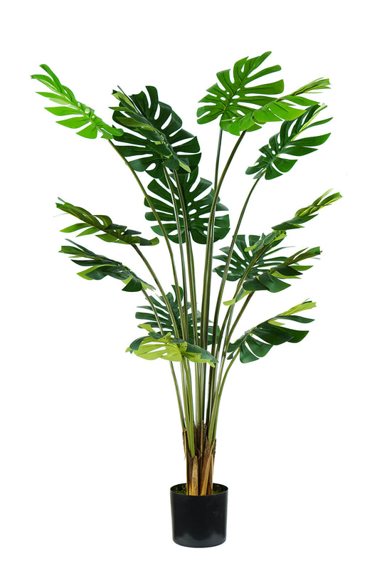 Pianta Artificiale Monstera H170 cm con Vaso Verde