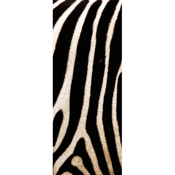 Decorazione per Porta Autoadesiva Facile da Applicare 210x83 cm Door Cover Zebra