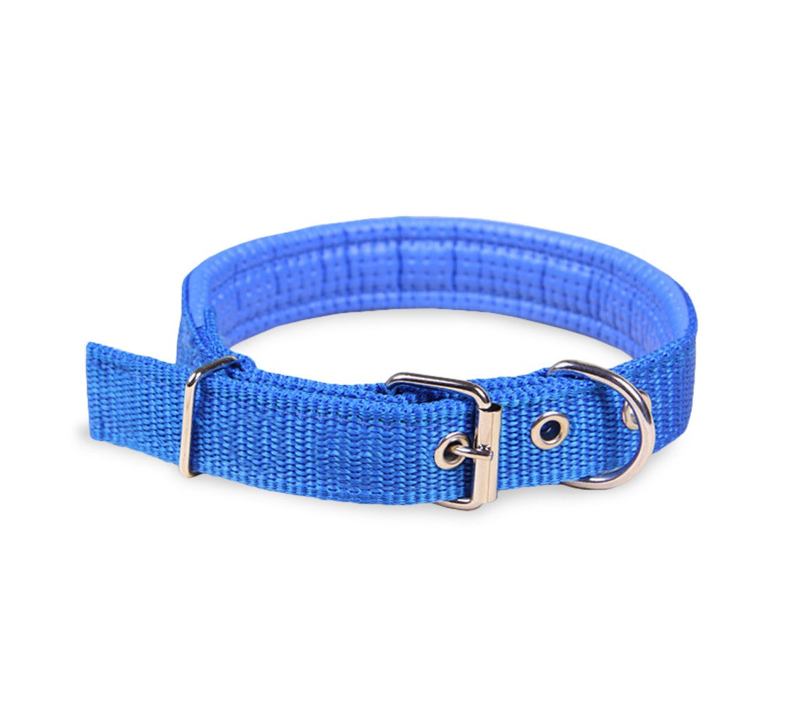 Collare per Cani Phoenix con Fibbia regolabile Razza Piccola in Nylon Regolabile Celeste