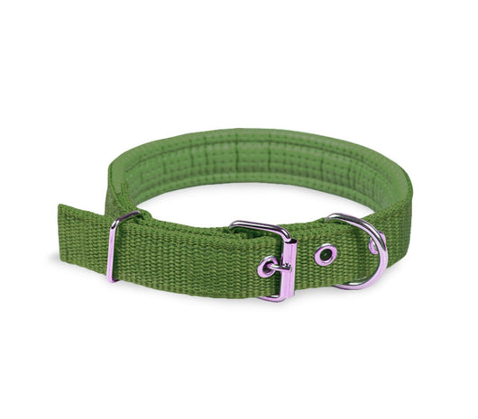 Collare per Cani Phoenix con Fibbia regolabile Razza Piccola in Nylon Regolabile Verde