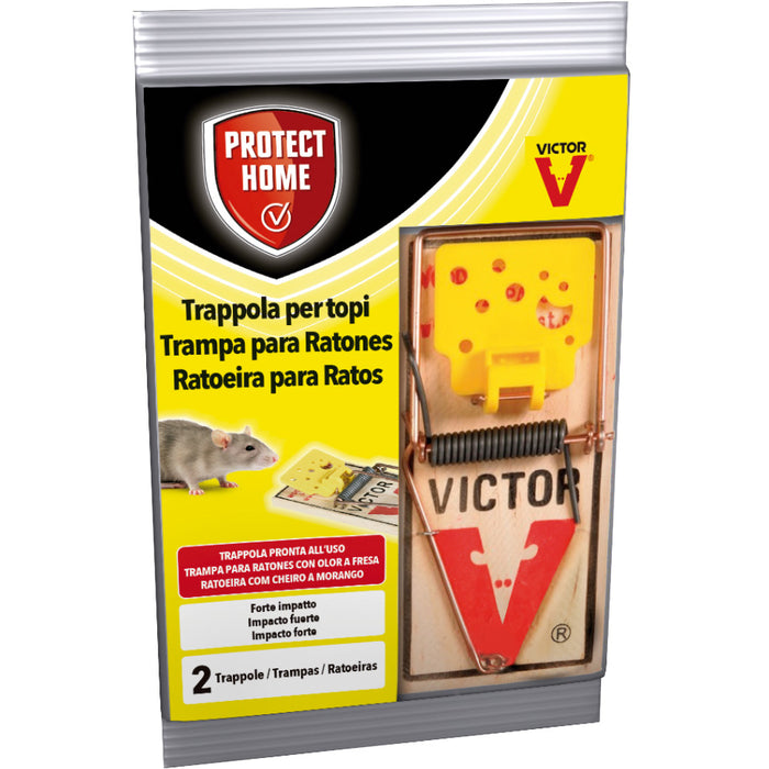 BAYER TRAPPOLE A SCATTO PICCOLE CF.2  PZ 36 