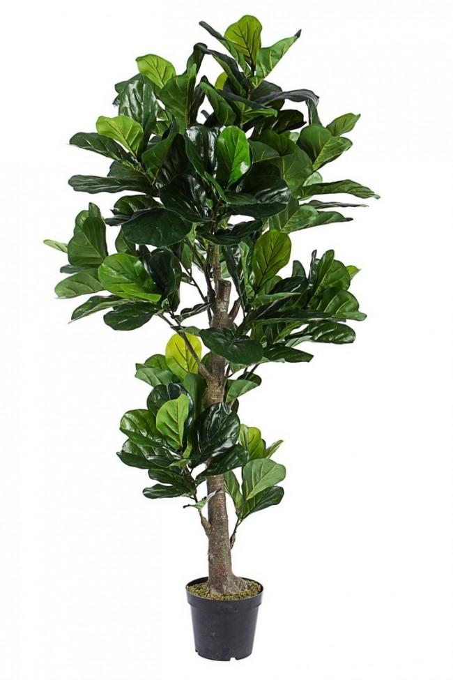 Pianta Artificiale Ficus Lyrata 153 Foglie H190 con Vaso Verde