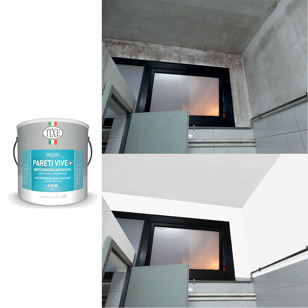 Pittura lavabile Pareti vive anticondensa con antimuffa certificata hccp Tixe 4 lt