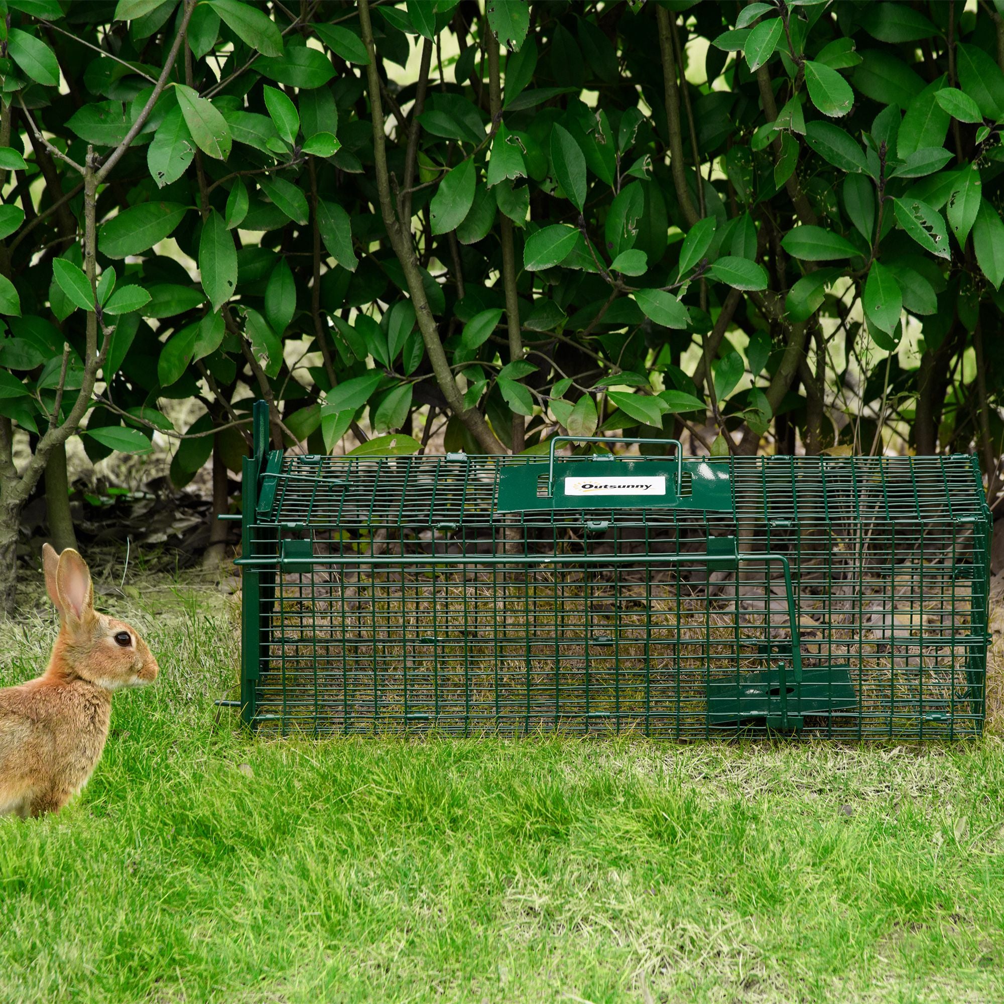 Gabbia Trappola per Animali Vivi 60x18x20 cm Porta Singola in Acciaio Verde