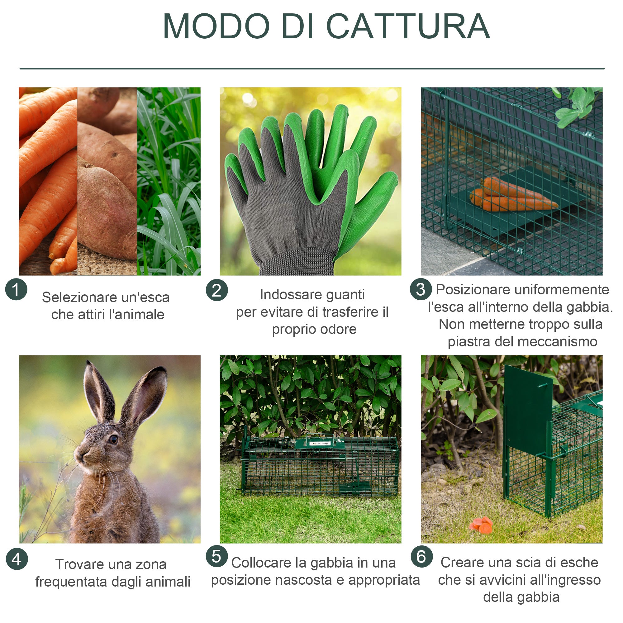 Gabbia Trappola per Animali Vivi 60x18x20 cm Porta Singola in Acciaio Verde