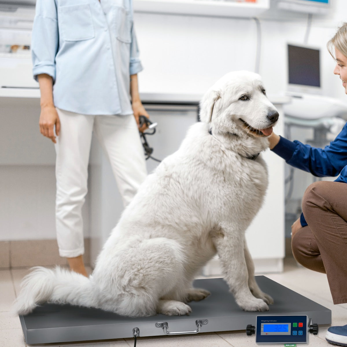 Bilance veterinarie digitali Piattaforma di pesatura per uso intensivo 300kg Cane animale domestico Bestiame