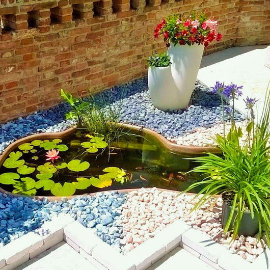 Laghetto Artificiale Roccia da Giardino 220x140x60 cm 750 Litri