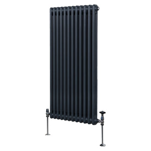 Termosifone Radiatore a 2 colonne per riscaldamento centralizzato verticale Grigio Antracite 150x56cm